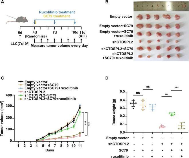 ΰչ»ƣҽƴѧŶӣַΰϺǱڰе(ͼ2)