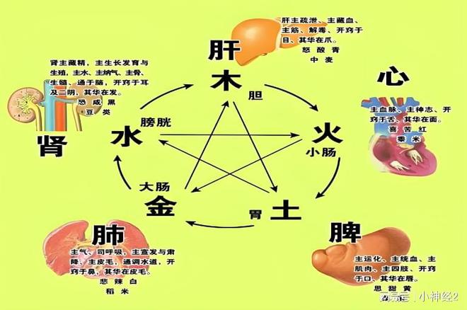 ҽɭΪθøСЧ(ͼ2)